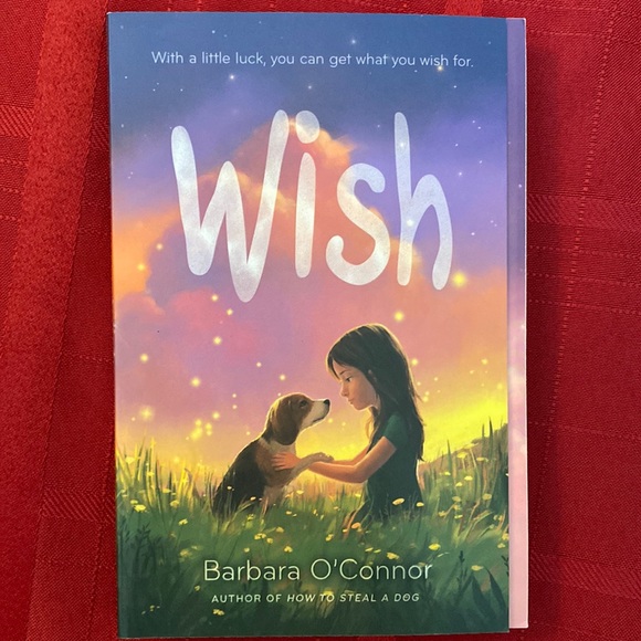 Youth book. Wish by Barbara O’Connor - Picture 1 of 3